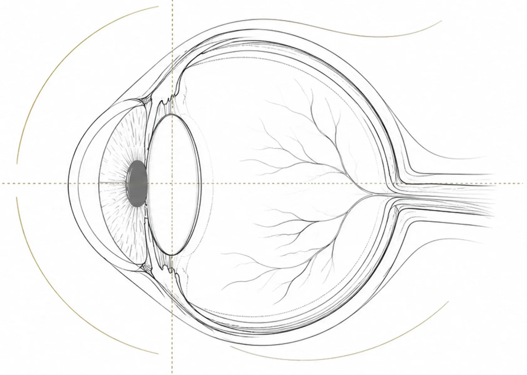 Optometrist reviewing a retinal scan with a patient